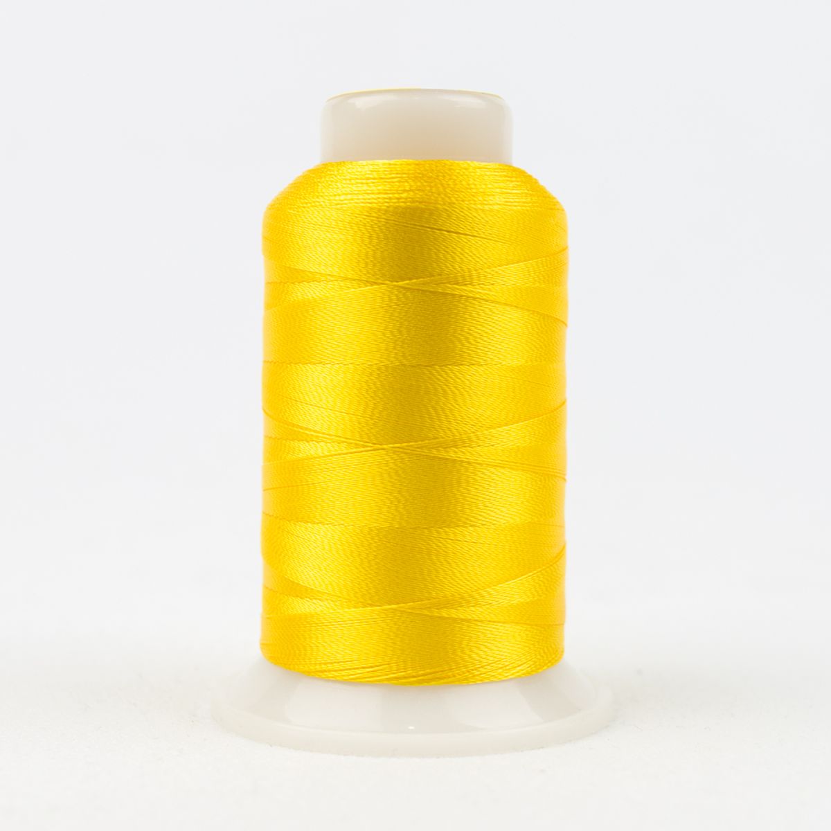 Splendor Canary Yellow